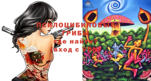 PSILOCYBIN Аркадак