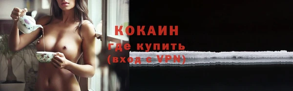 PSILOCYBIN Аркадак