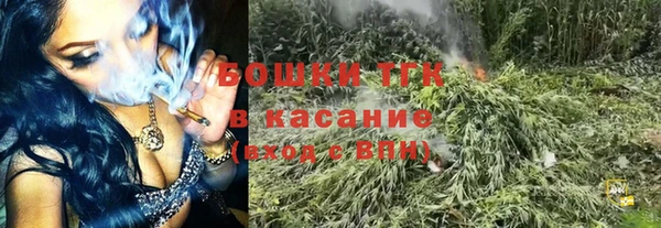 PSILOCYBIN Аркадак